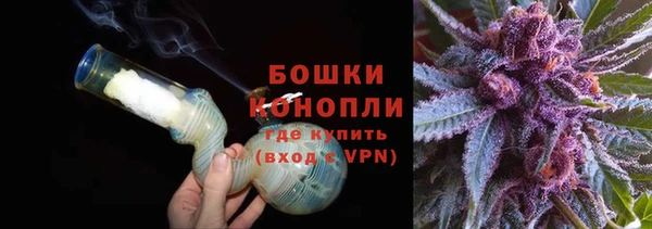 крисы Осинники