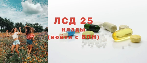 крисы Осинники