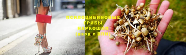 крисы Осинники