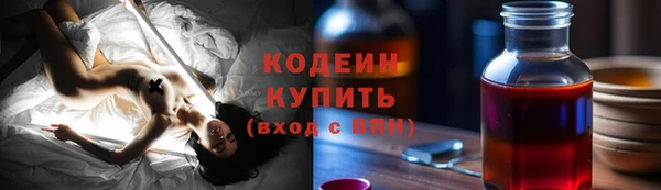 крисы Осинники