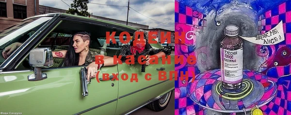 крисы Осинники