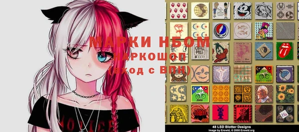 крисы Осинники