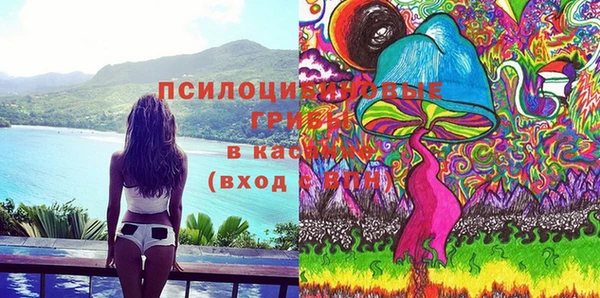 крисы Осинники